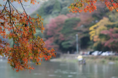 嵐山　桂川（保津川）　紅葉