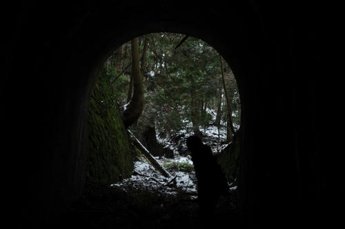 京都　清滝　愛宕山　ケーブル跡　トンネル