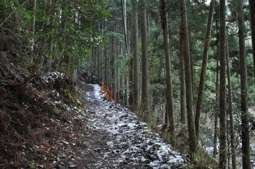 京都　清滝川　京都一周トレイル　冬　雪