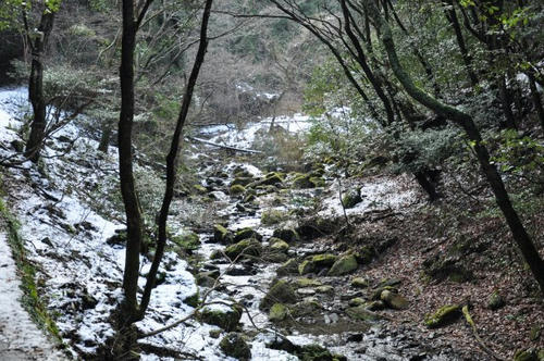 京都　清滝川　京都一周トレイル　雪　冬